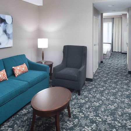 Hilton Garden Inn Detroit/נובי מראה חיצוני תמונה