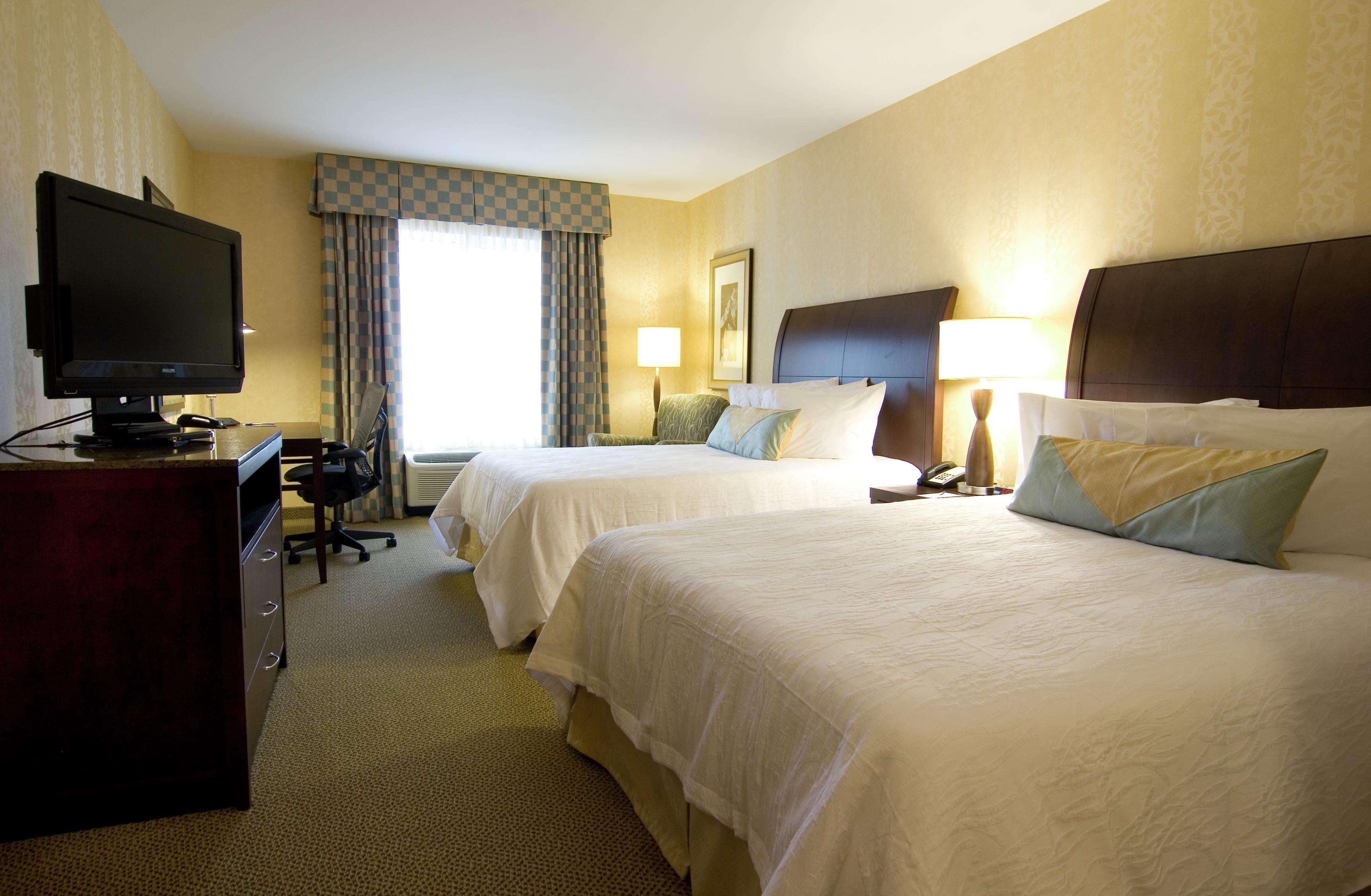 Hilton Garden Inn Detroit/נובי מראה חיצוני תמונה
