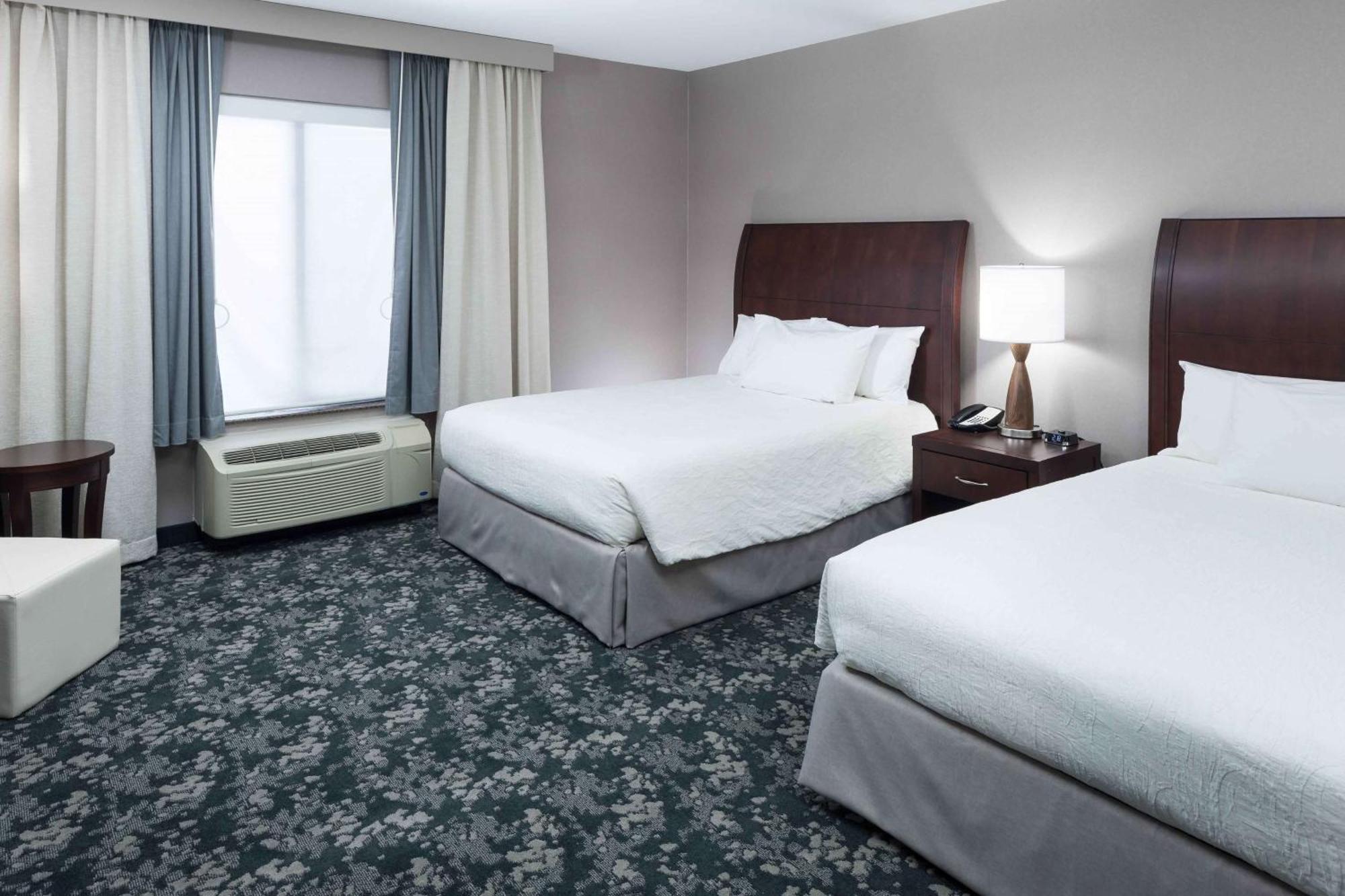 Hilton Garden Inn Detroit/נובי מראה חיצוני תמונה