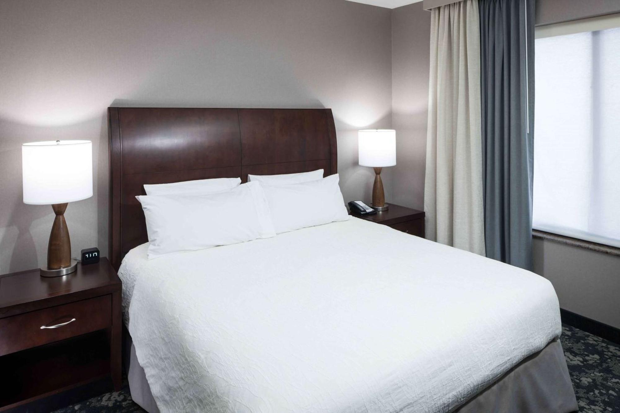 Hilton Garden Inn Detroit/נובי מראה חיצוני תמונה