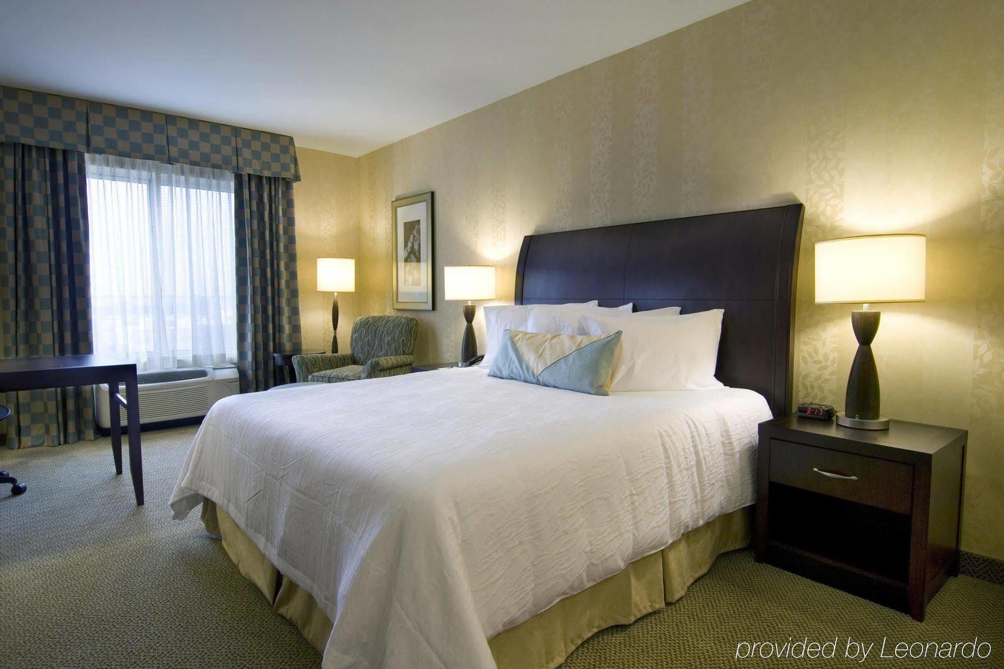 Hilton Garden Inn Detroit/נובי חדר תמונה
