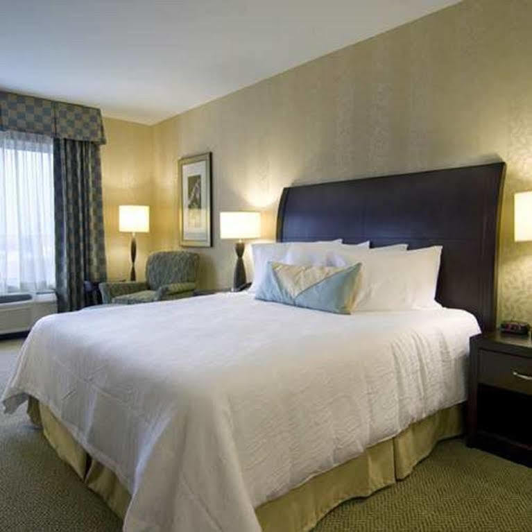 Hilton Garden Inn Detroit/נובי מראה חיצוני תמונה